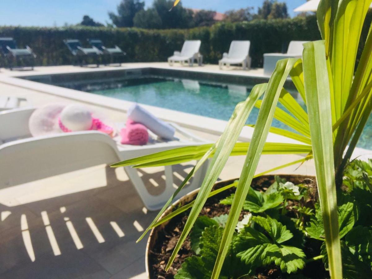 Apartmani Andelo, Tommy, Leon Bibinje Bagian luar foto